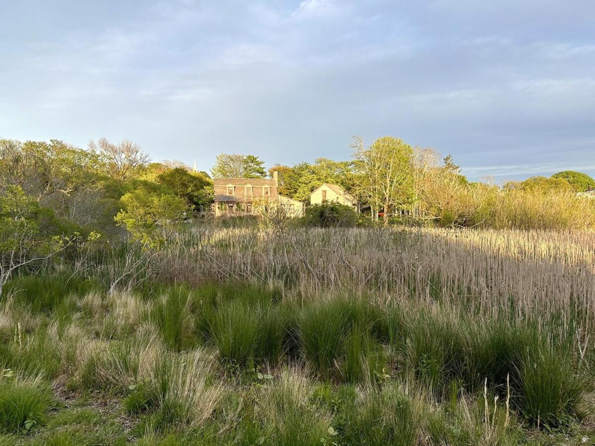 In Town Lily Pond Mini Compound, House And Cottage Nantucket Exterior photo